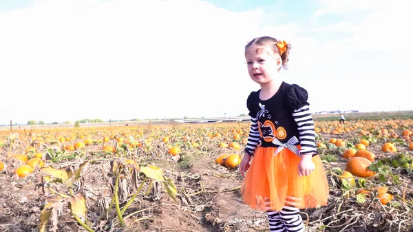 Barn girl på Pumpkin patch — Stockfoto