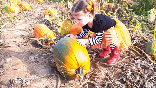 Barn girl på Pumpkin patch — Stockfoto