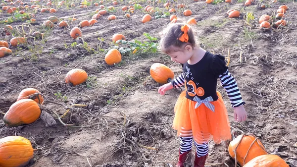 Petite fille à la citrouille patch — Photo