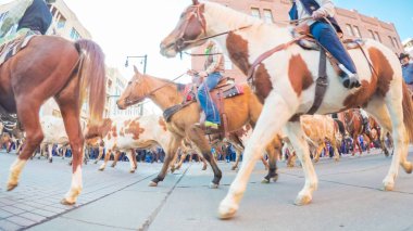 Hisse senedi Haritayı geçit töreni