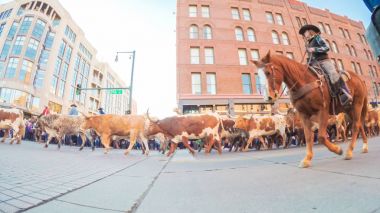 Hisse senedi Haritayı geçit töreni