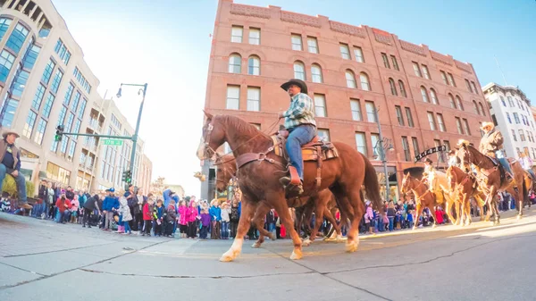 Stock Show Parade — стоковое фото