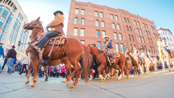 Stock Show Parade — стоковое фото