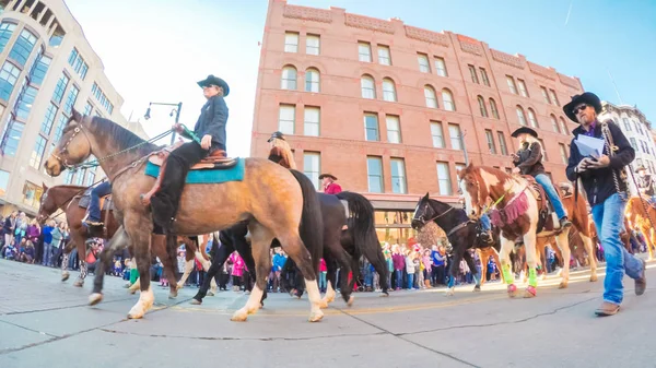 Stock Show Parade — стоковое фото