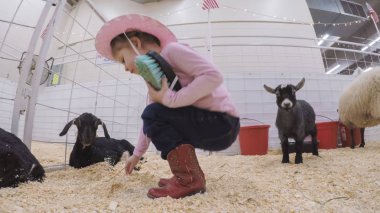 Sevişme hayvanat bahçesinde Batı stok Show