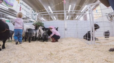 Sevişme hayvanat bahçesinde Batı stok Show