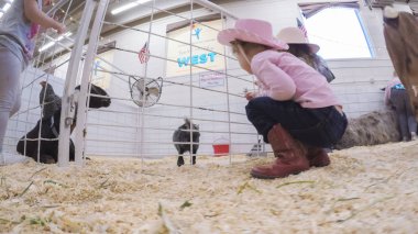 Sevişme hayvanat bahçesinde Batı stok Show