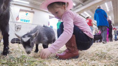 Sevişme hayvanat bahçesinde Batı stok Show