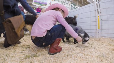 Sevişme hayvanat bahçesinde Batı stok Show