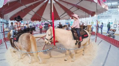 Batı stok Show at eşek rides