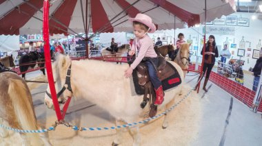 Batı stok Show at eşek rides