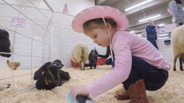 Sevişme hayvanat bahçesinde Batı stok Show