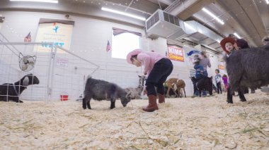 Sevişme hayvanat bahçesinde Batı stok Show