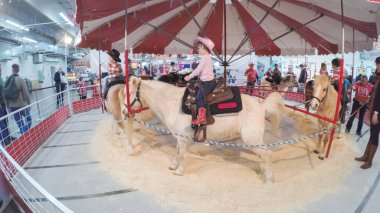 Batı stok Show at eşek rides