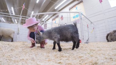 Sevişme hayvanat bahçesinde Batı stok Show