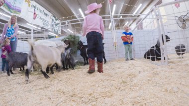 Sevişme hayvanat bahçesinde Batı stok Show