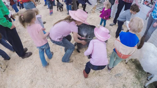 Petting zoo at the Western Stock Show — Stock Photo, Image