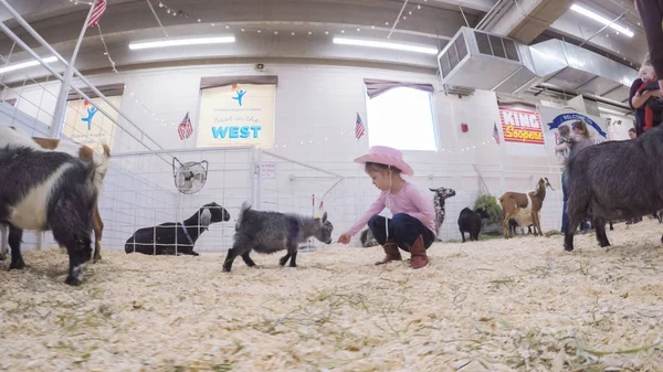 Sevişme hayvanat bahçesinde Batı stok Show