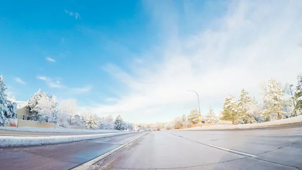 Spring snow storm — Stock Photo, Image