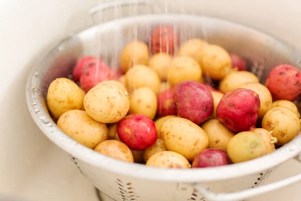 Små potatis närbild — Stockfoto