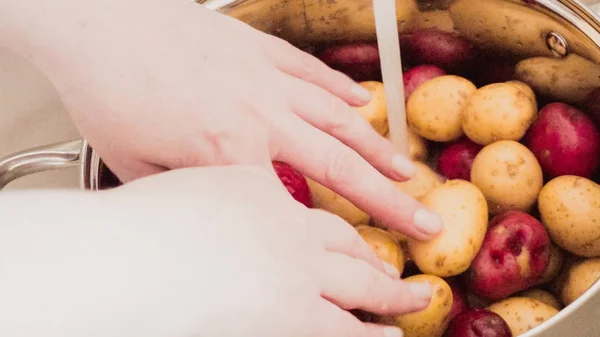 Small potatoes close up — Stock Photo, Image