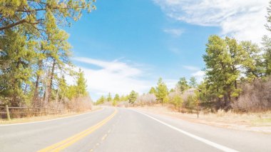 POV-Colorado kırsal asfalt yol sürüş.