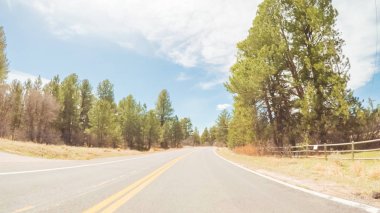 POV-Colorado kırsal asfalt yol sürüş.