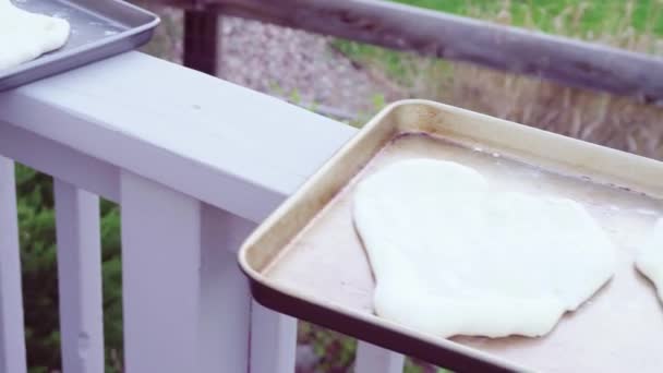 Cuisson Pizza Sur Barbecue Gaz Extérieur — Video