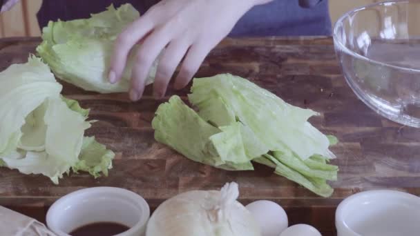 Slicing Fresh Organic Vegetables Gourmet Burger Garnish — Stock Video