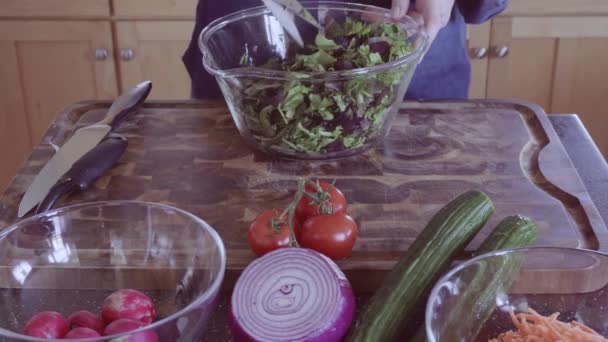 Bio Frühlingsmischgemüse Mit Küchenschere Für Frischen Salat Schneiden — Stockvideo