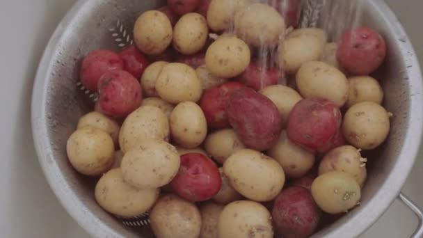 Pequenas Batatas Vermelhas Douradas Sendo Lavadas Escorredor — Vídeo de Stock