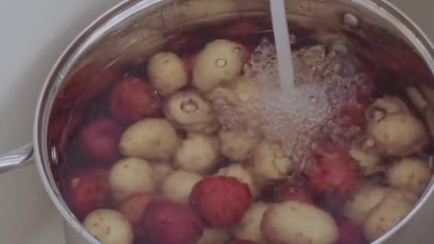 Kleine Rode Gouden Aardappelen Krijgen Gewassen Vergiet — Stockvideo