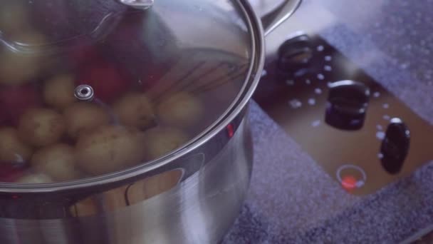 Kleine Gouden Rode Aardappelen Grote Kookpot Koken — Stockvideo