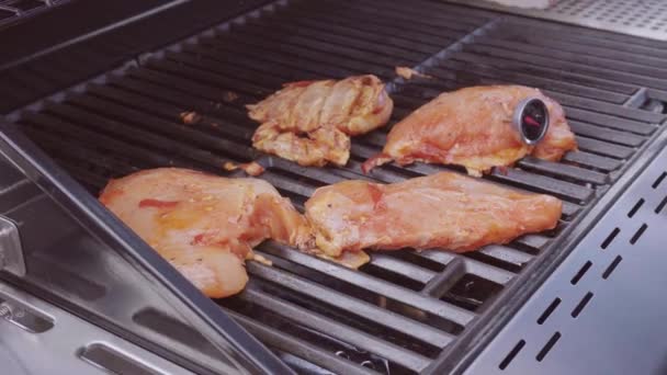 循序渐进 羊肉串烤肉用甜椒和黄色洋葱在户外燃气烧烤上煮鸡肉 — 图库视频影像