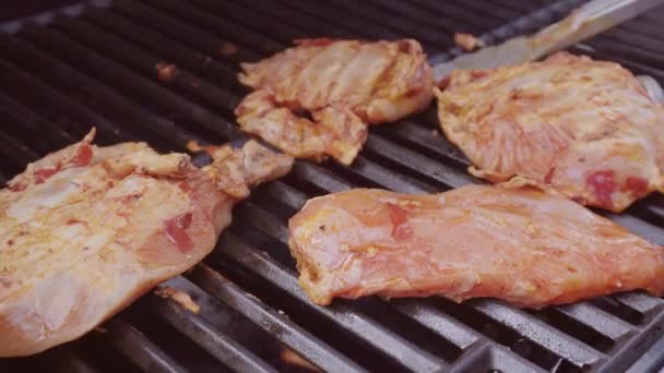 Steg Steg Koking Kyllingshish Kabobs Med Paprika Gul Løk Utendørs – stockvideo