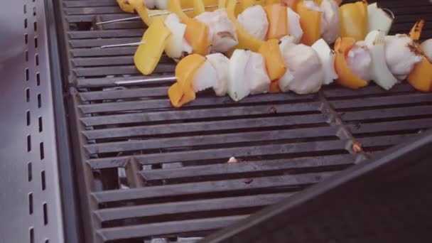 一歩一歩 料理の鶏串焼き Kabobs ピーマンと黄色タマネギの屋外のガスのグリルします — ストック動画