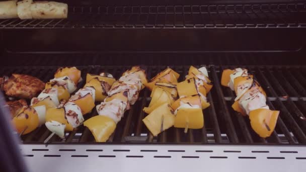 一歩一歩 料理の鶏串焼き Kabobs ピーマンと黄色タマネギの屋外のガスのグリルします — ストック動画