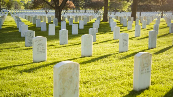 Amerika Birleşik Devletleri Ulusal Mezarlığı — Stok fotoğraf