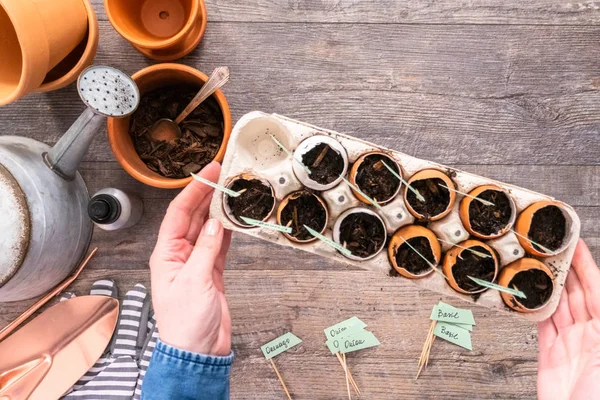 Bio-Startertöpfe für Saatgut — Stockfoto