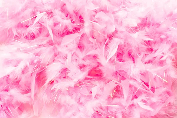 Pink feathers — Stock Photo, Image