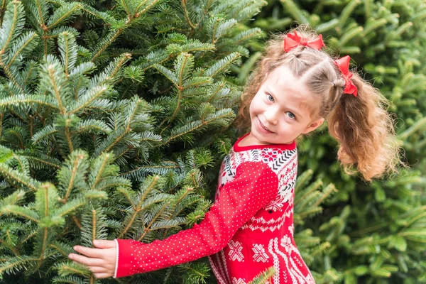 Kerstboom boerderij — Stockfoto