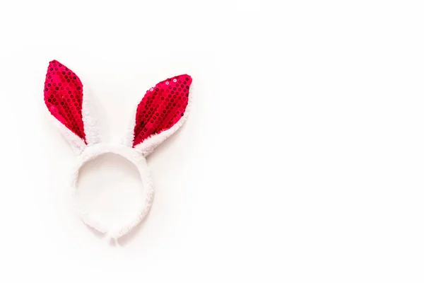 Easter bunny ears — Stock Photo, Image