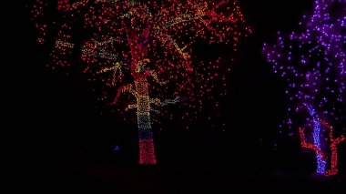 Noel ışıkları