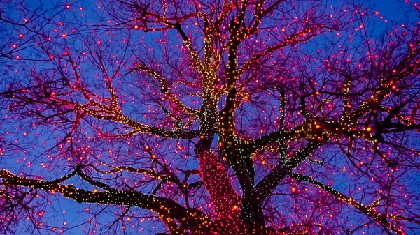 Luces de Navidad — Foto de Stock