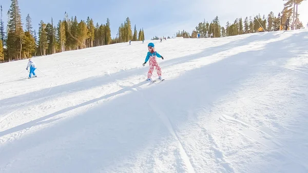 Alpine skiën — Stockfoto