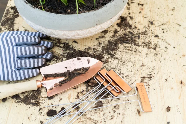 Petits Outils Jardin Avec Peu Terre Renversée Sur Table Bois — Photo