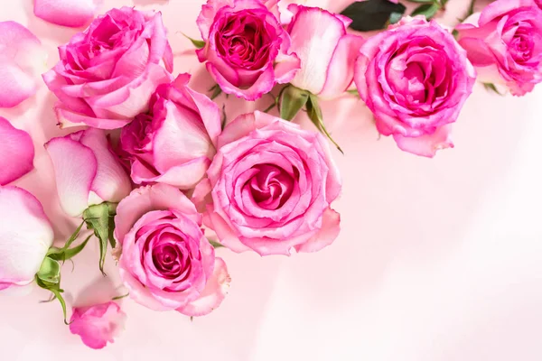 Flat Lay Pink Roses Rose Petals Pink Background — Stock Photo, Image