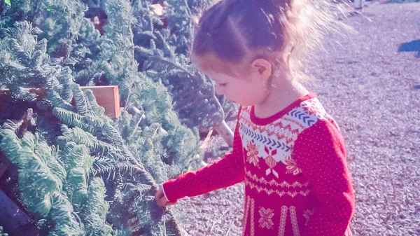 クリスマス ツリーの農場で赤いドレスの女の子 — ストック写真
