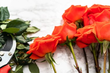 Düz yatıyordu. Çiçek buketleri düzenlemek için küçük makasla kırmızı güller buduyor..