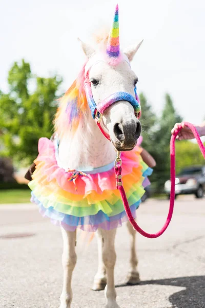 Ein Weißes Pony Als Einhorn Auf Der Geburtstagsparty Eines Kleinen — Stockfoto